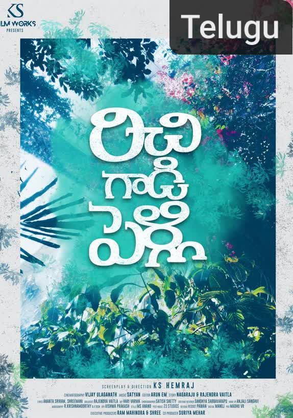 Richie Gadi Pelli [Telugu]