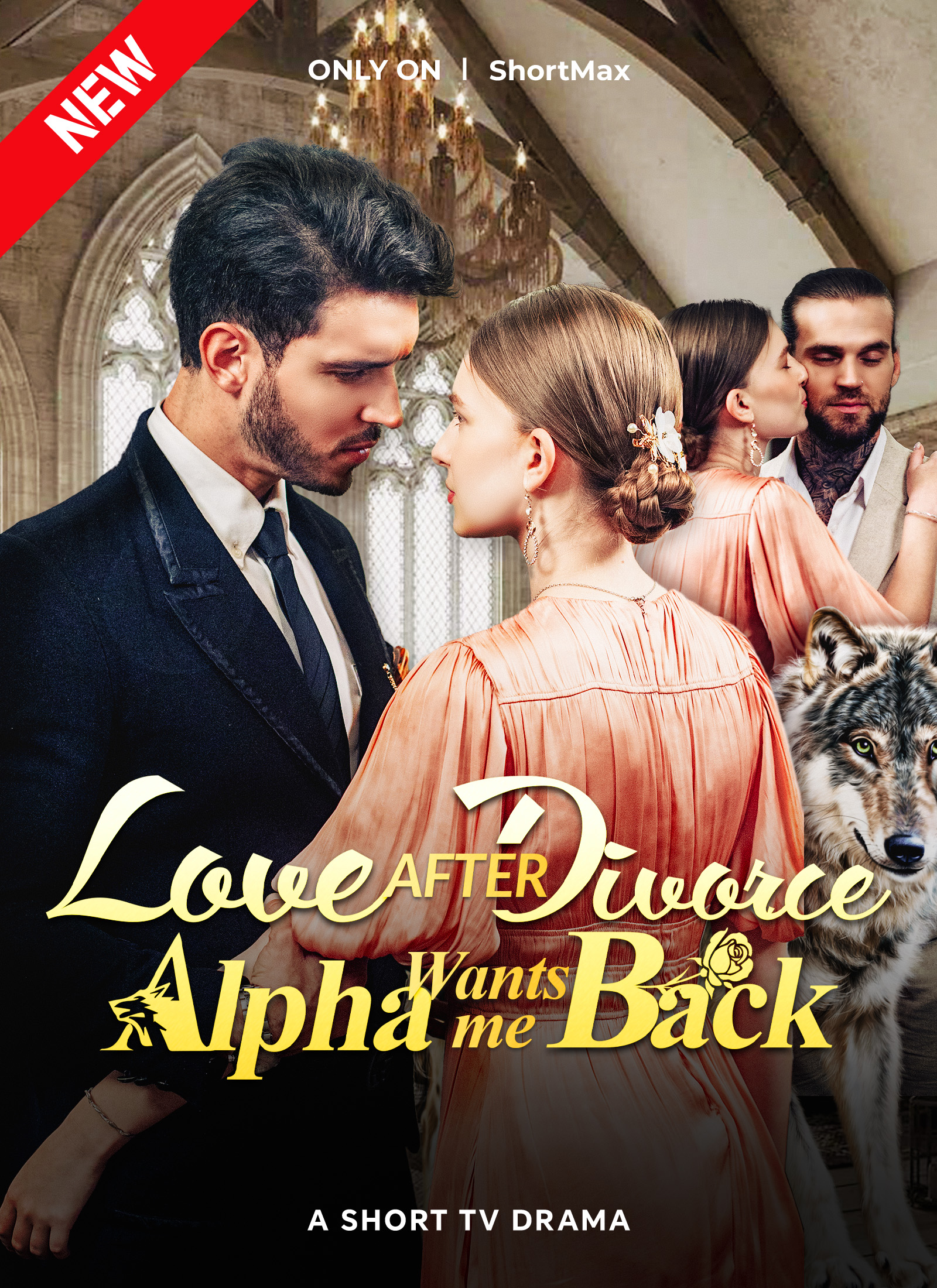 Poster Love After Divorce, Alpha Wants Me Back
