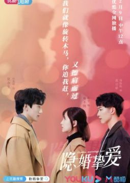 A Hidden Love Marriage [Hindi]