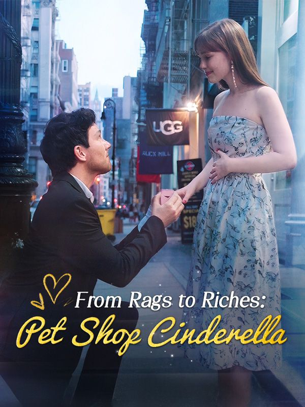 From Rags to Riches: Pet Shop Cinderella