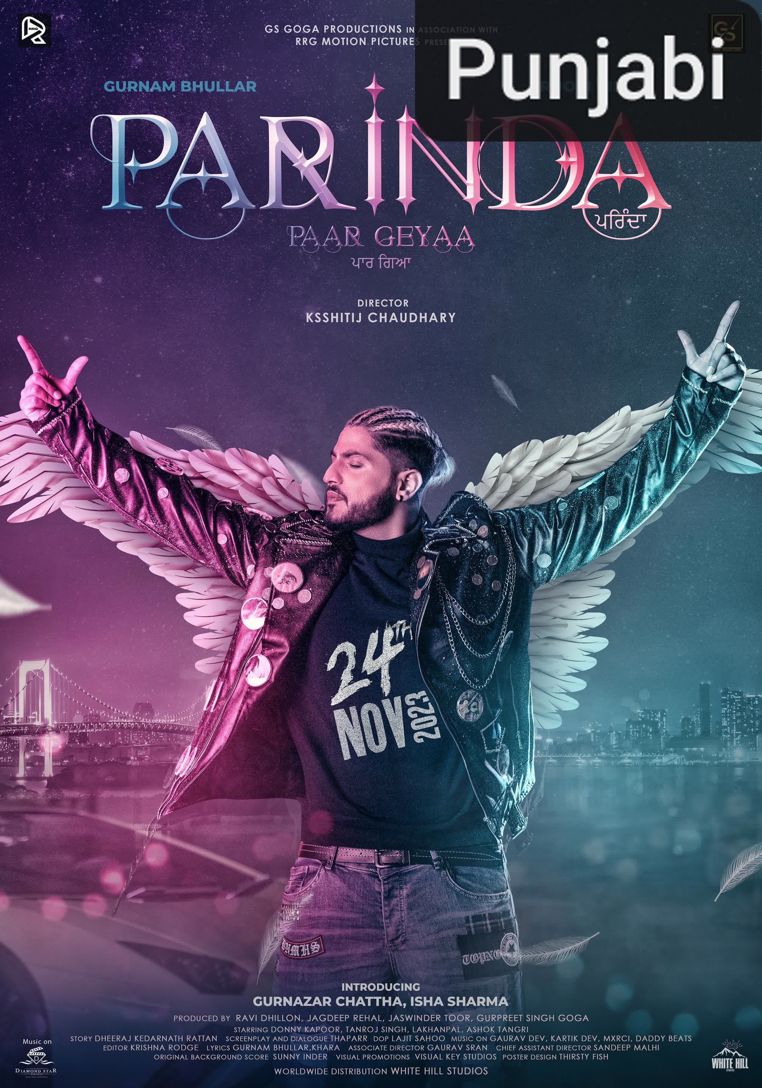 Parinda Paar Geyaa [Punjabi]