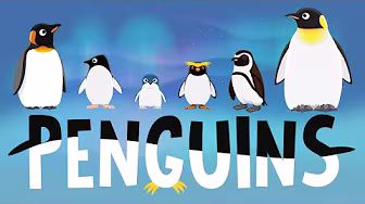 Penguins for Kids: Interesting Facts - Different Types of Penguins for Children. Kids Academy