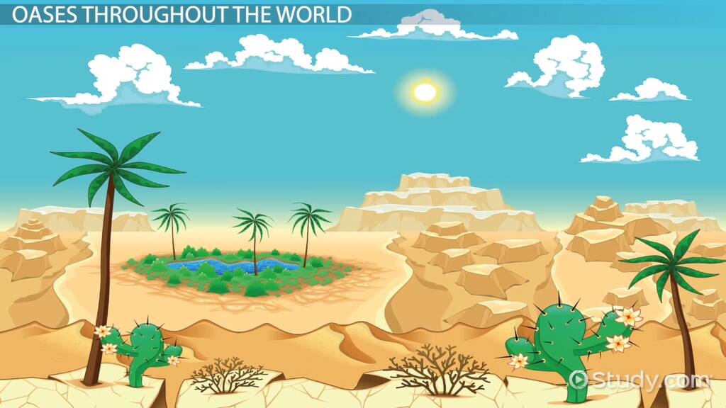Oasis Lesson for Kids: Definition & Facts