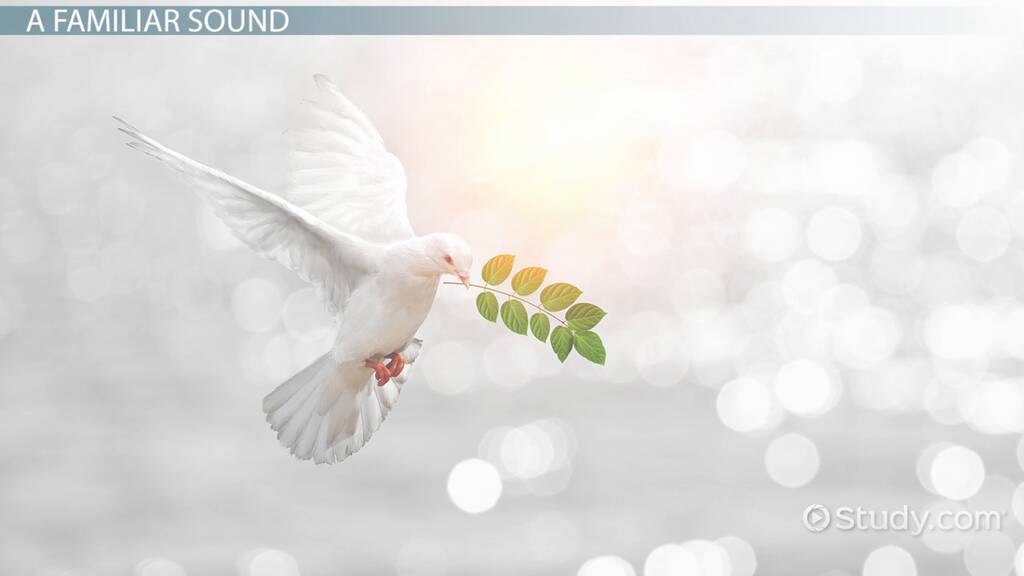 Dove Facts: Lesson for Kids