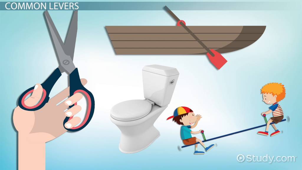 Levers for Kids: Types & Examples