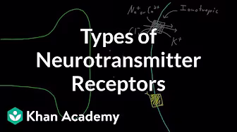 Types of neurotransmitter receptors | Nervous system physiology | NCLEX-RN | Khan Academy