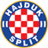 live-team-icon