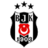 live-team-icon