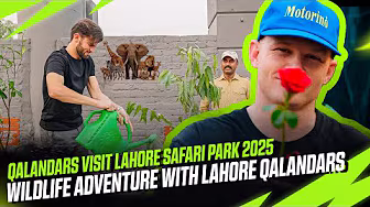 Qalandars Visit Lahore Safari Park 2025 | Wildlife Adventure with Lahore Qalandars