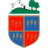live-team-icon