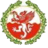 live-team-icon