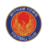 live-team-icon
