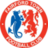 live-team-icon