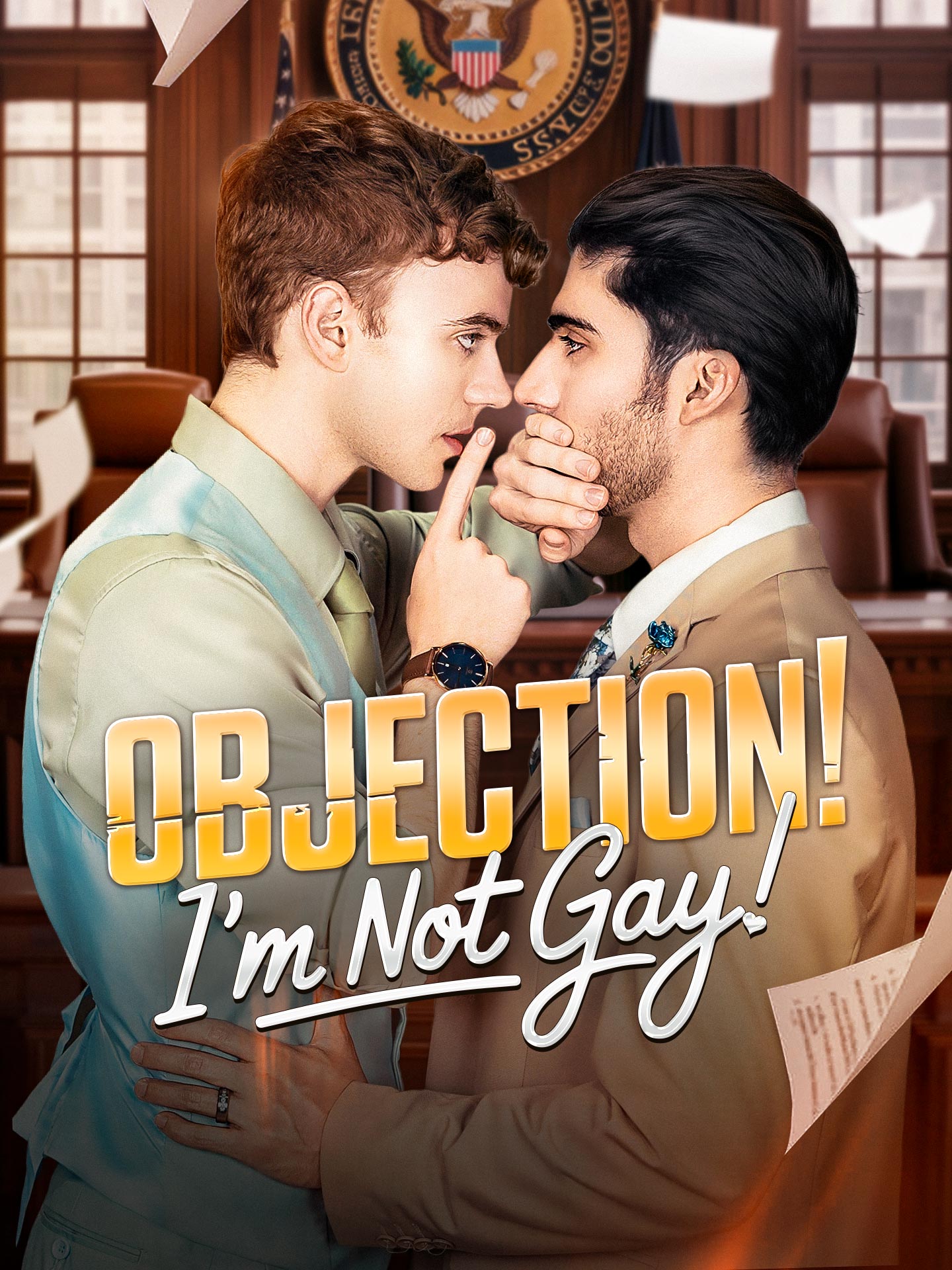 Poster Objection I'm not Gay