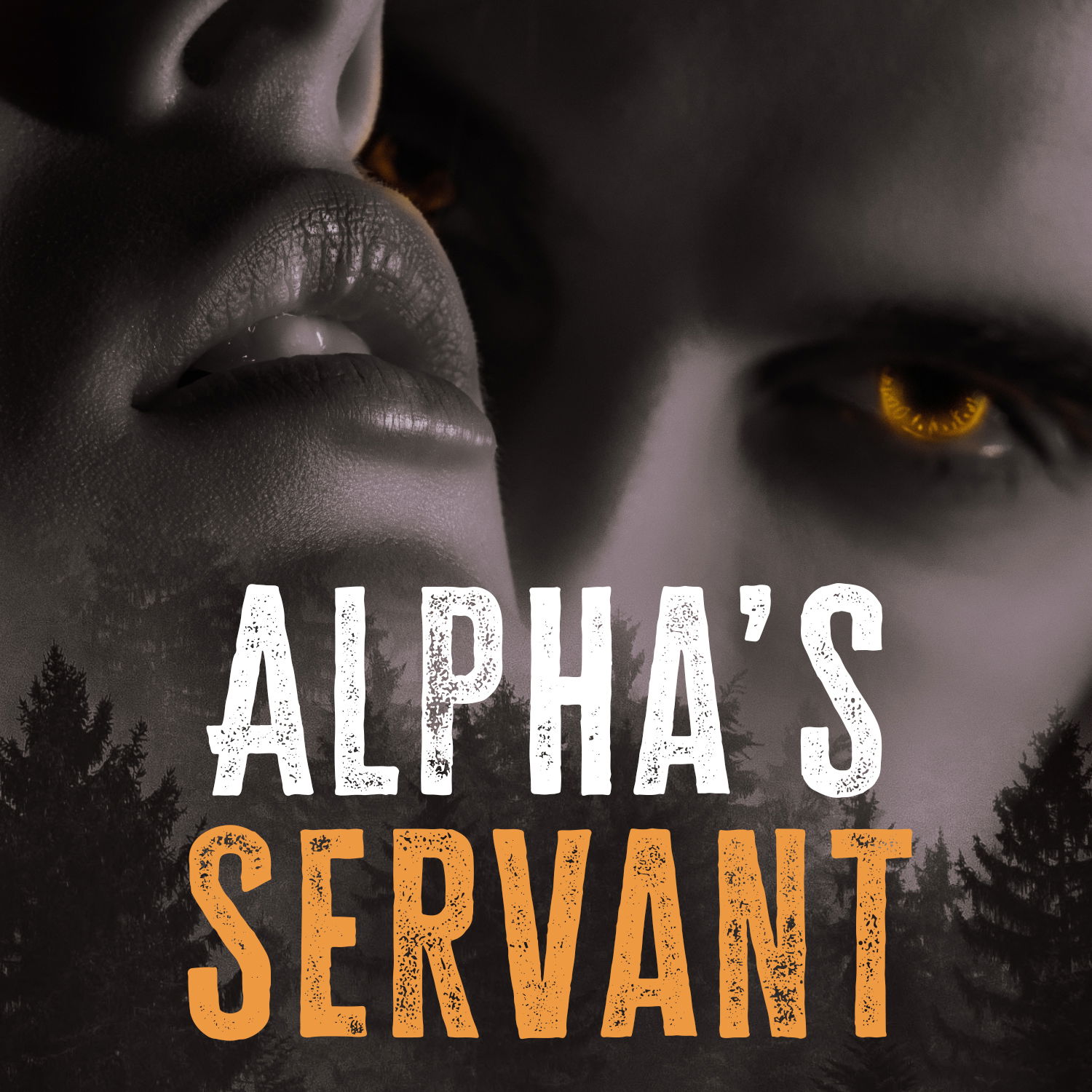 Alpha's Servant