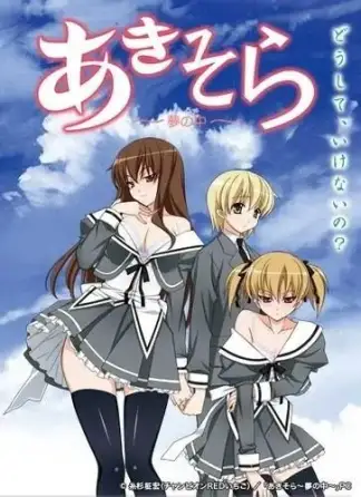 Aki Sora (2010) poster