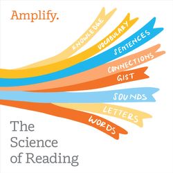 S6 E3: Focused implementation: Doing less to do more with Dr. Doug Reeves