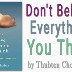 Don't Believe Everything You Think: Living with Wisdom and Compassion by Bhikshuni Thubten Chodron