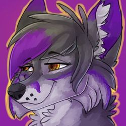 Saxxon Fox
