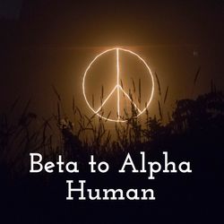 Becoming a High Value Man (Step by Step Guide) | Beta to Alpha Human - Semen Retention | Ep. #167