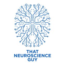 Neuroscience Bites - Activating our Brain