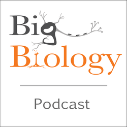 Ep 39: Bioelectric Computation