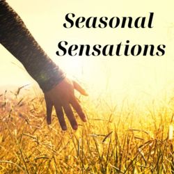 Episode 8 - Winter Solstice