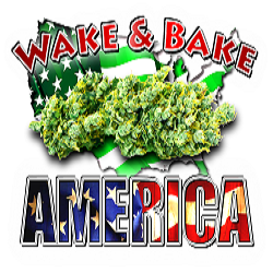 IS BIG CANNABIS IMPLODING?