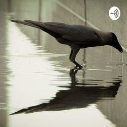 Episode 12 - Spend your time purposefully