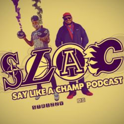 SLAC 85