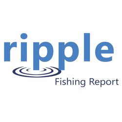 Destin Report: A Solid Inshore Bite