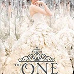 The One Audiobook