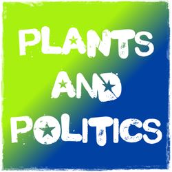 FL Fake Candidate Case Update