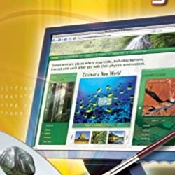 Introduction To Web Design