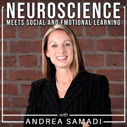 Brain Fact Friday: "Understanding How We Learn: Declarative vs Procedural Systems"