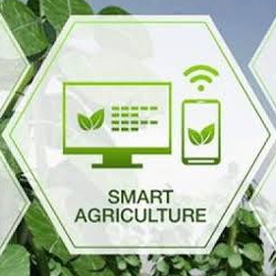 AGRIBUSINESS