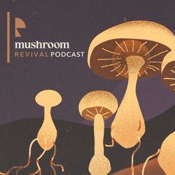 Functional Mushrooms 101