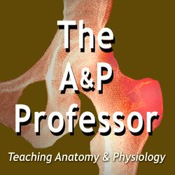 Test Question Templates Help Students Learn | TAPP 70