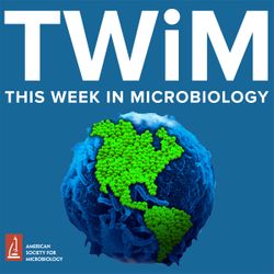 285: How Plague Got Deadly