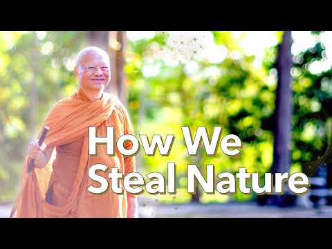 Everything in Balance | Ajahn Anan | 11 Jan 2024