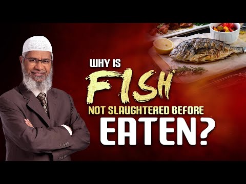 Is Having Body Guards Permissible? - Dr Zakir Naik
