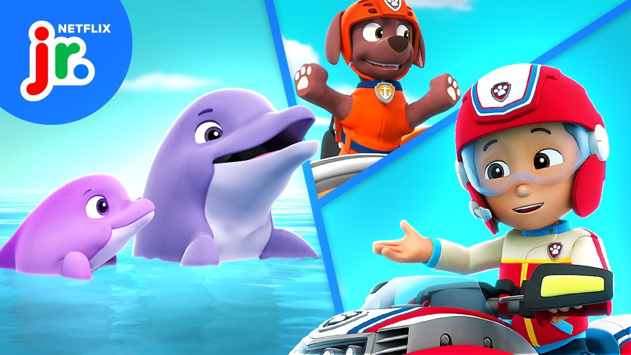 The Pups Save a Dolphin! 🐬 PAW Patrol | Netflix Jr