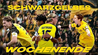 Last-minute equaliser, 8-goal game & Champions League success | Black and yellow weekend