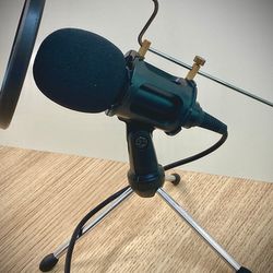 Using Online Journal Writing (Audio Version)