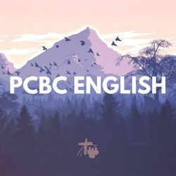 1 Corinthians Q&A Panel