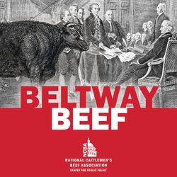 A Cattle Producer’s Perspective on Conservation Programs