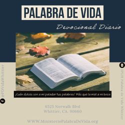 5. Padres Modelos, parte 5