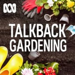 Budding & grafting masterclass