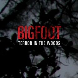 Bigfoot TIW 191: Elk hunters run into mangled Elk and a protective Bigfoot
