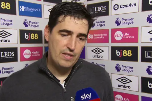 AFC Bournemouth VS Fulham Highlight